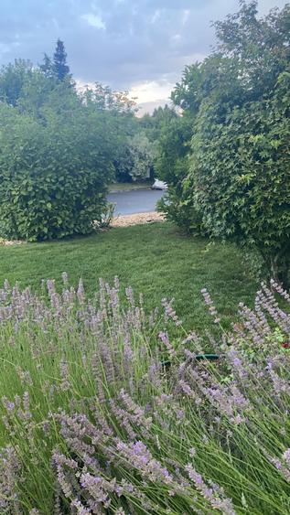 Vanzare casa Paradisul Verde Corbeanca - 19