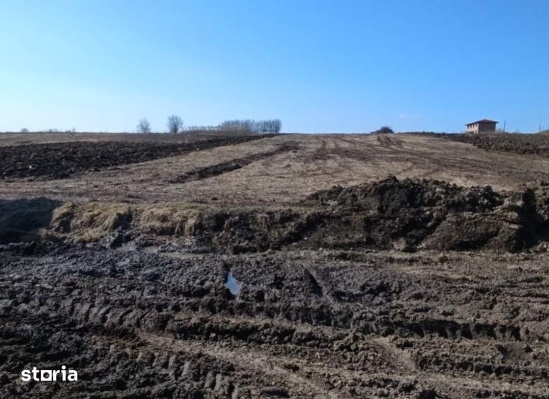 Teren extravilan Miroslava , 500 metri Cod:161709 - 8