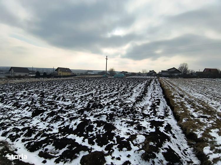 Teren 991 MP | Moara Nica | 22 ml Deschidere | Utilitati | 38.000 - 8