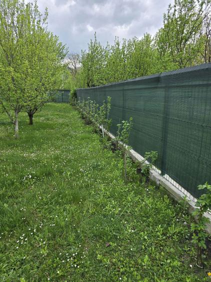 Teren de vanzare Brebu jud PH - 4