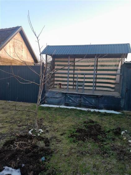 COMUNA CHESA | 2 CASE | TEREN 5.526 MP | DUBLU FRONT | BIHOR - 12