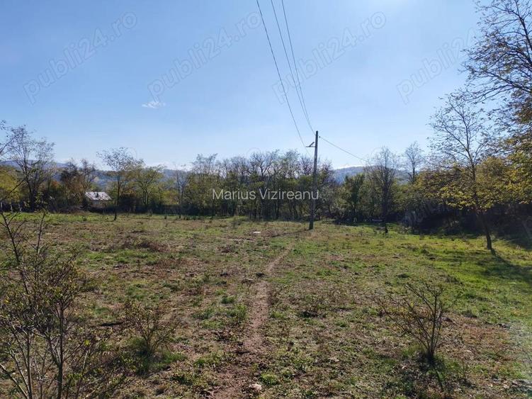 Teren 10000mp.Loc Calvini