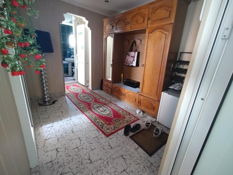 2decomandat -sensul giratoriu la delfini - 3