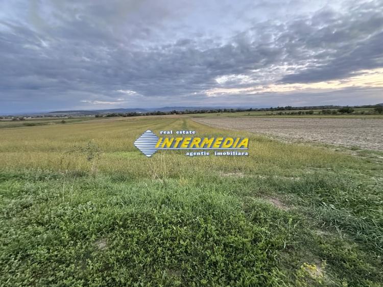 OKAZIE ! 2300 mp. Teren Intravilan Mereteu lat 22 m toate utilitatiile in fata - 3