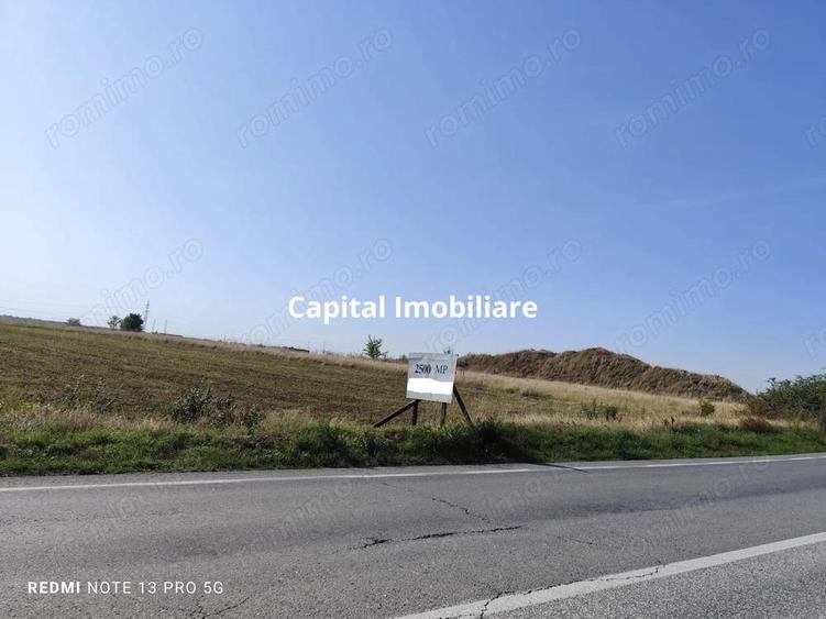 Teren agricol 2500 mp, Cocorastii Colt - 4