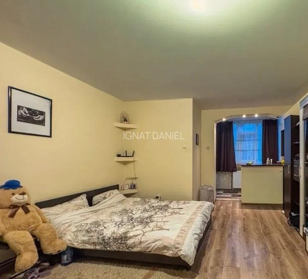 Apartament cu 1 camera, zona Tatarasi-Flora
