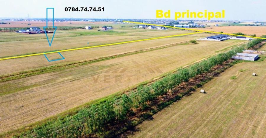 Teren cu gaz si curent la lot - com Berceni - 3