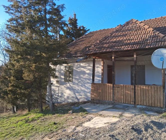 De inchiriat casa in Sabed - 12