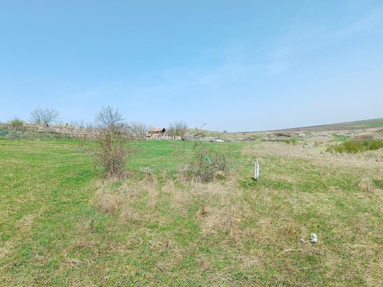 Teren extravilan în Dezmir. - 5