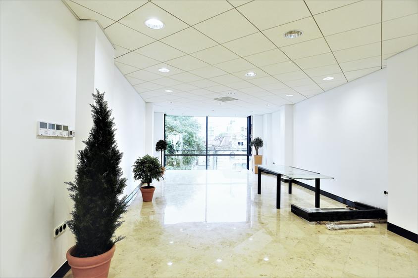 Cladire individuala - spatii open space - 11