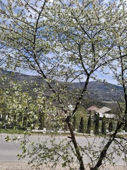 Casa de inchiriat Breaza de Sus in regim hotelier - 1