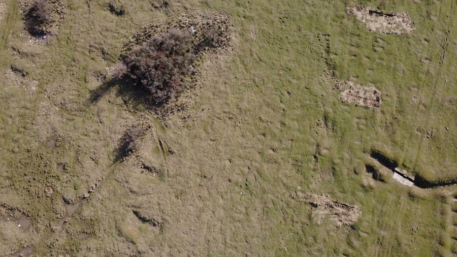 COMISION 0% | Teren Intravilan - Pentru Constructie Bloc - Giroc - 3