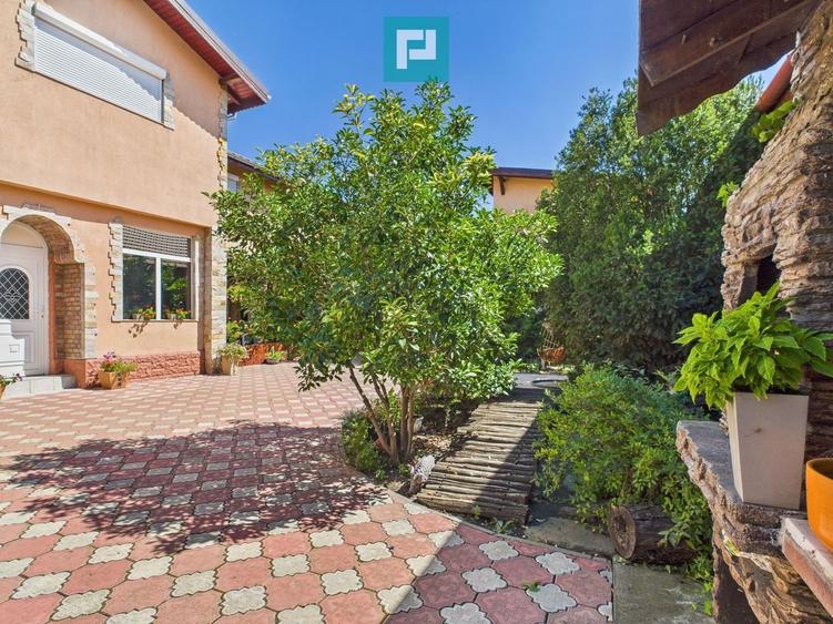 Pensiune la Orțișoara - 45