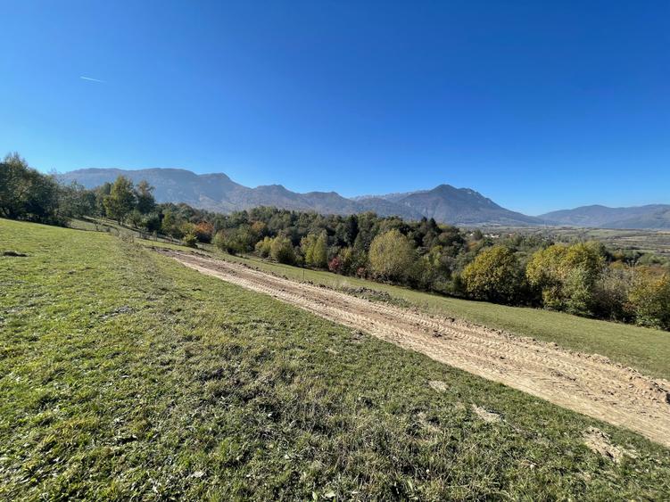 Teren intravilan loturi intre 500 si 1000 m la 5 km de Moieciu - 2