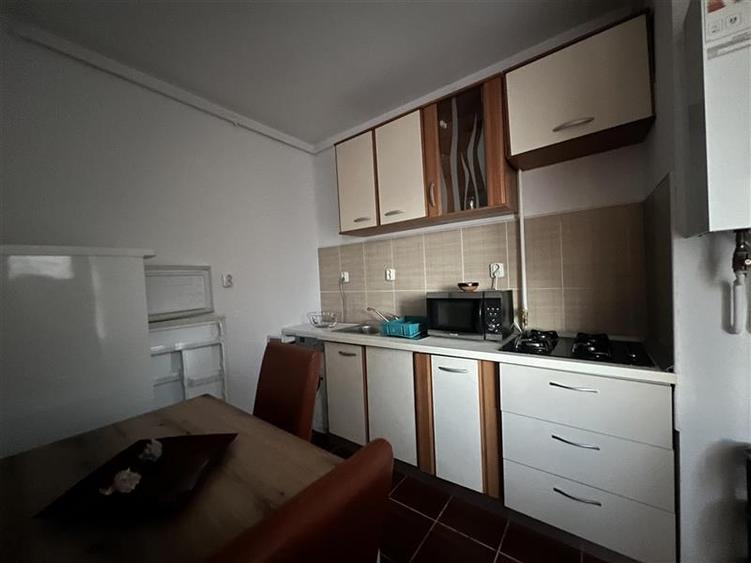 Apartament 1 camera strada Avram Iancu  zona Lidl - 6