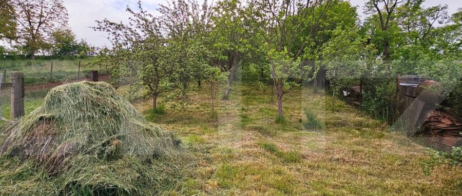 Casa tradi?ionala din lemn, cu teren de 600 mp. - Bodoc - 5