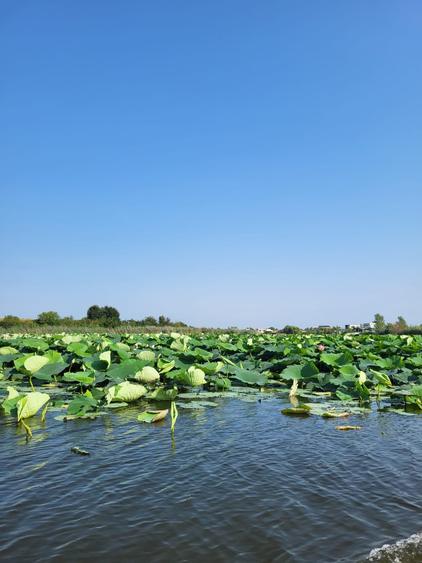 SNAGOV  Acolo unde fiecare dimineață începe cu reflexia lacului.deschidere 40 ml - 3