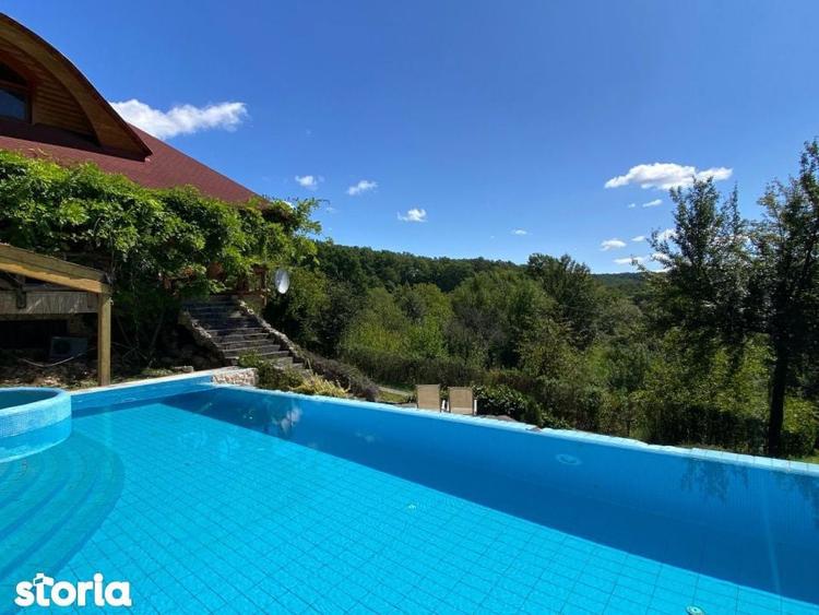 Domeniu exclusivist 17.000 mp | Vila luxury cu piscina & SPA Carbu - 10