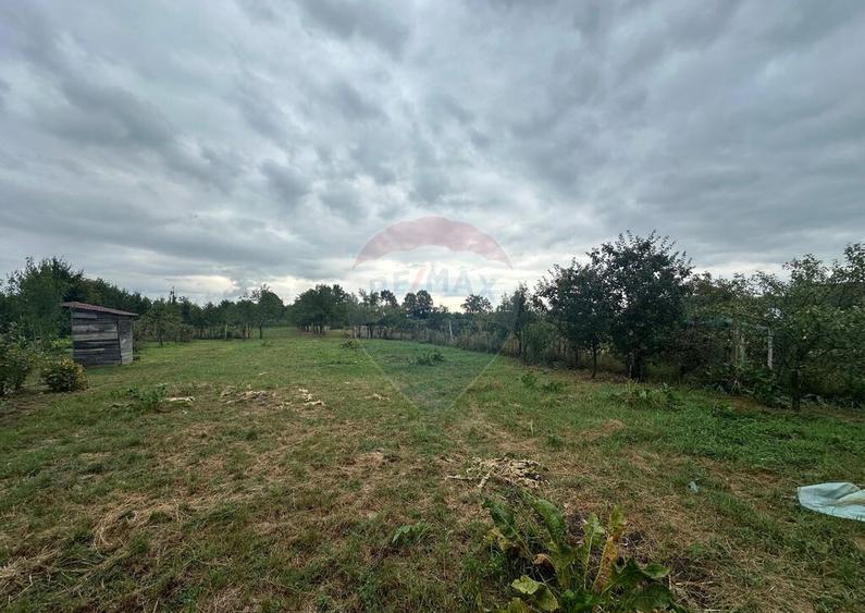 30 arii TEREN INTRAVILAN cu o GOSPODARIE veche - 5