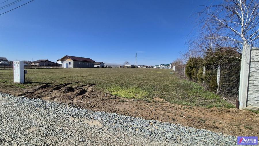 Teren de Casa 2480 mp cu utilitati- Oras Magurele - 5