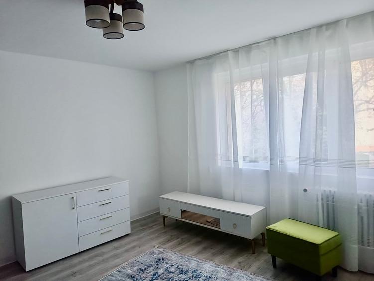 Nicolae Grigorescu Metrou Piata Titan - 6