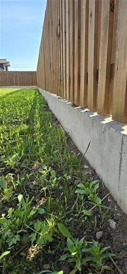 Tarlungeni, Izvor - 3