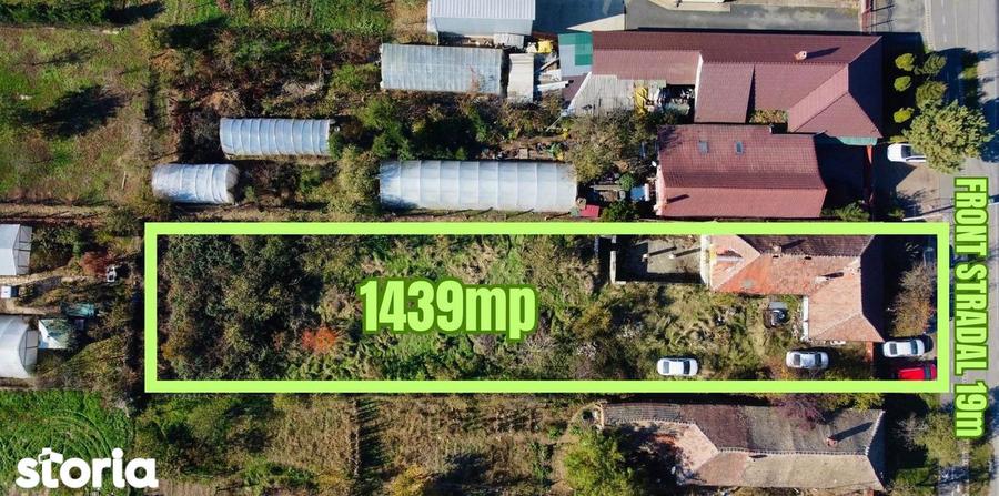 Parcela de vanzare - Strada Principala, Mo?ni?a Noua - 3