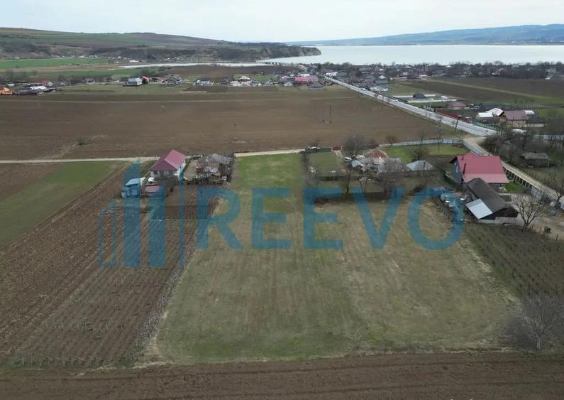 Teren de vanzare, Sat Bazga, Com. Horge?ti, Bacau - 12