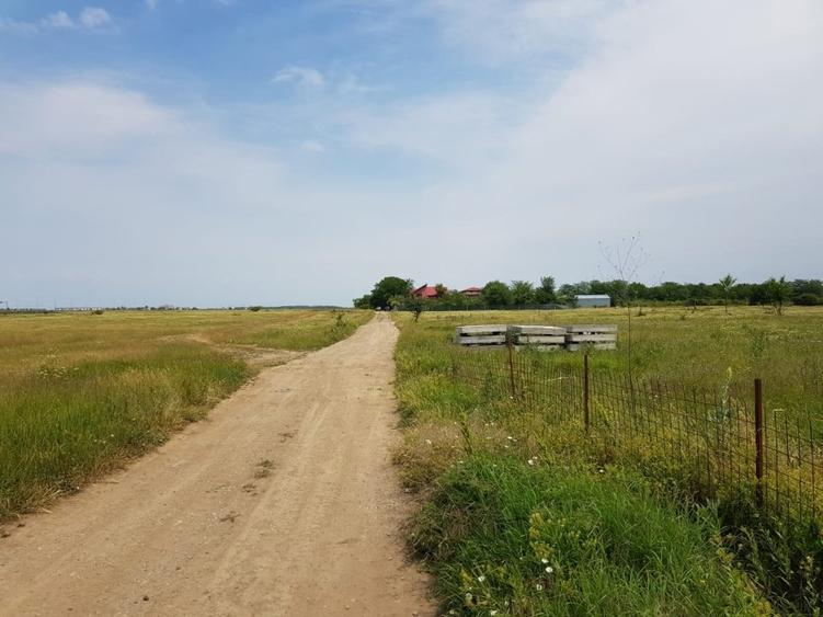 3000 m2 plasat exceptional, vest de Voluntari - 11