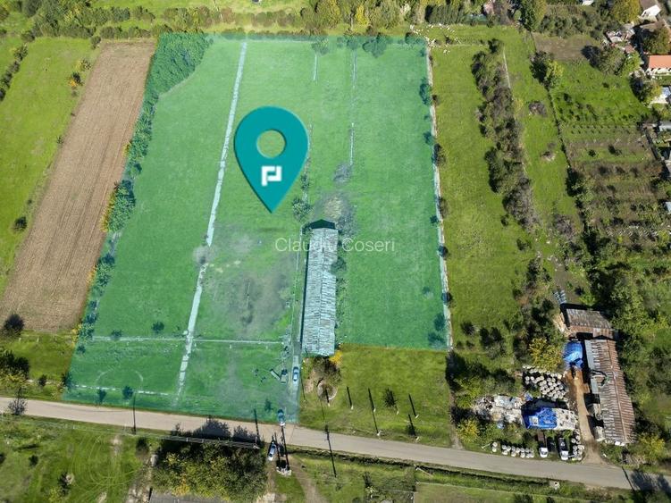 Hală de 430 mp și teren intravilan 2.5 ha Macea