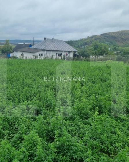 Casa batraneasca + Teren 1.666 mp intravilan, la 8 km de