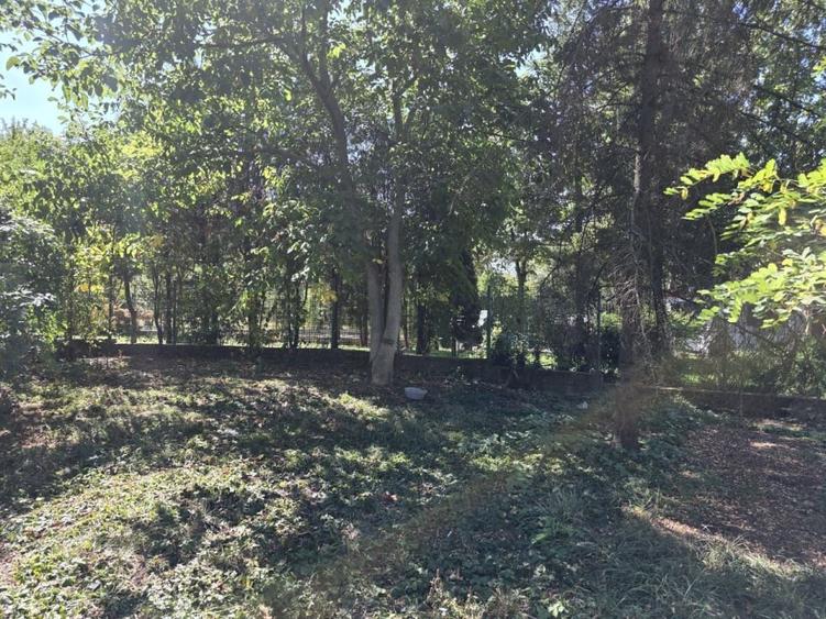 Vanzare teren cu deschidere la lac, zona Ciofliceni - Sangov. - 4