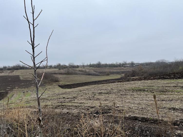 Casa in comuna Frumoasa sat Pauleasca - 2