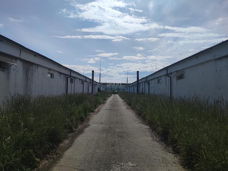 Spatiu productie/ depozitare, 600 mp, Brasov - Bod. Spatiu productie/ depozitare, 600 mp, Brasov - Bod.