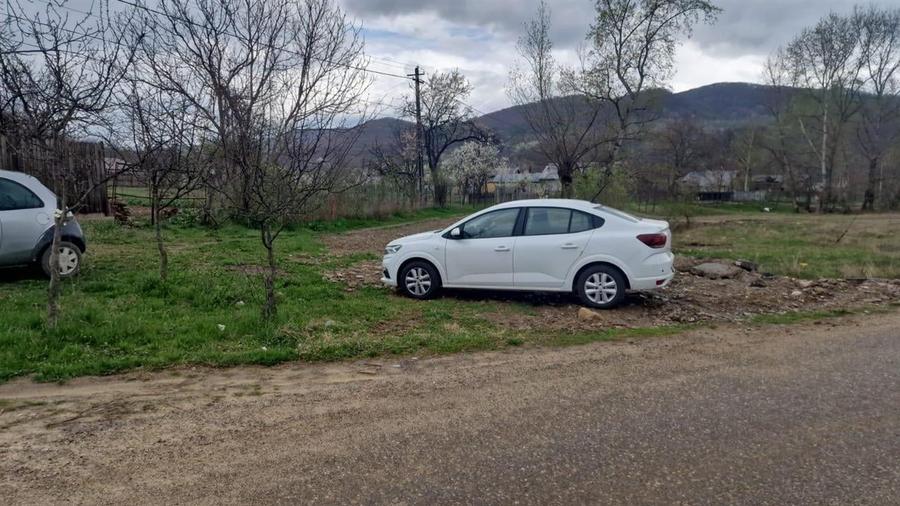 TEREN GURA VITIOAREI - 1