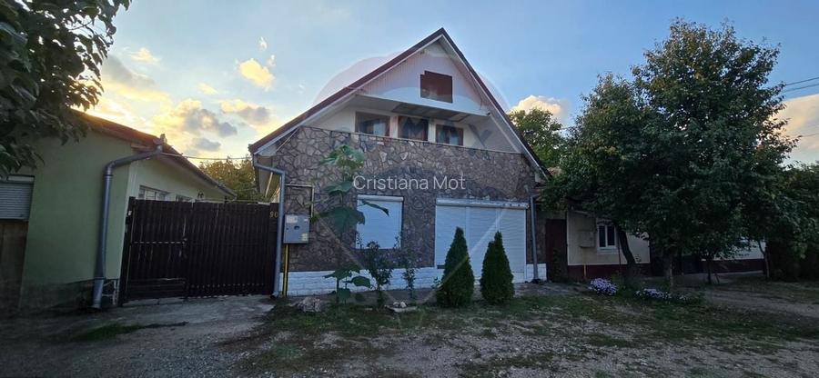 PENSIUNE IN CHISINEU CRIS