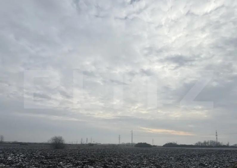 Teren de vanzare Strada Balta Blonda, 2000 mp - 2