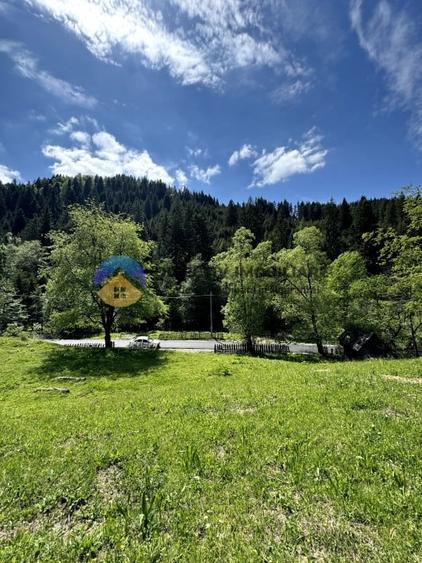 Teren 11557 mp comuna Ceahlau - 8