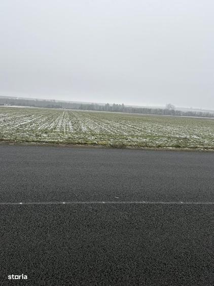 Vand teren extravilan cu deschidere la E 85 , 9 Hectare - 1