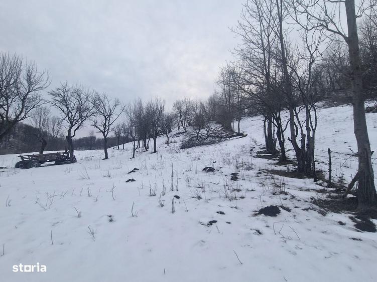 Casa batraneasca + teren 12000 mp cu toate utilita?ile racordate - 10