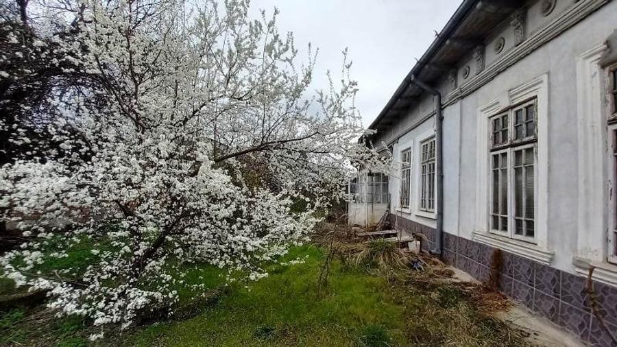 Vitan(Strada Foisorului),1428 mp - 1