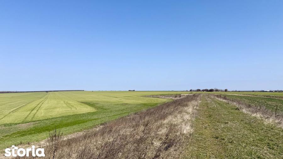 Avans 500 euro - Teren de investitie la Mare! Statiunea Costinesti 444 - 13