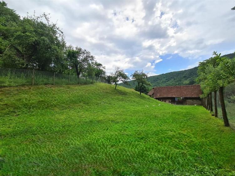 Casa deosebita \ vanzare \ Marginimea Sibiului \ Fantanele - 15