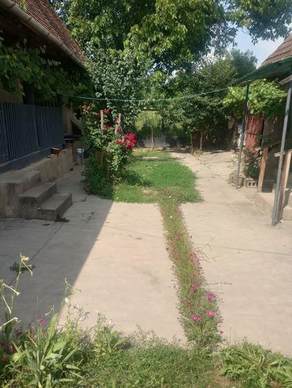 Casa la tara Judetul Arad - 1