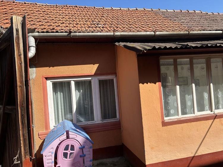 Vand casa la tara Saliste - 8