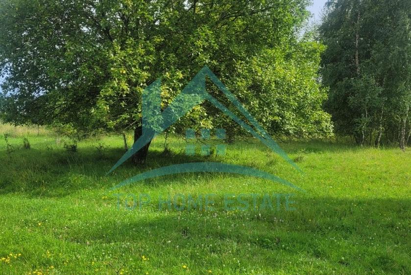 Teren pentru cabana/pensiune zona Lac Micesti! - 4