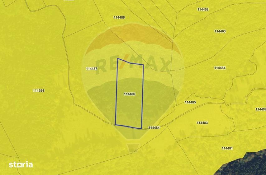 COMISION 0% | Teren 23.000 mp | Extravilan | Rasnov - Paraul rece - 3