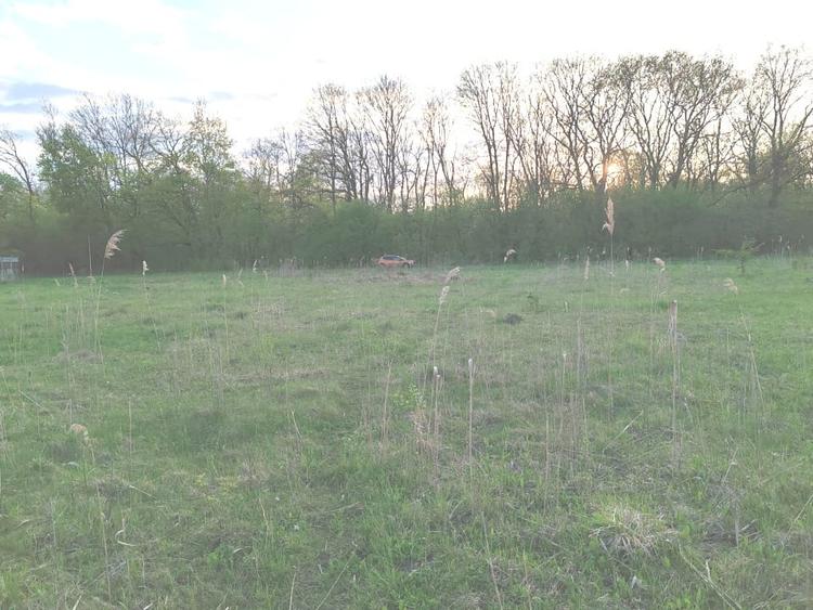 Teren ideal pentru casa de vacanta sau locuinta permanenta, la marginea padurii - 7