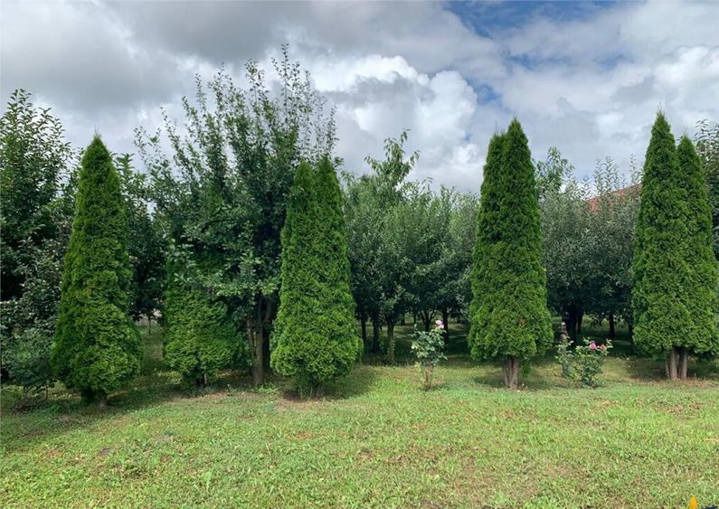 LUX Vila, pozitionare Premium, conditii apreciabile:Tur Virt - 15