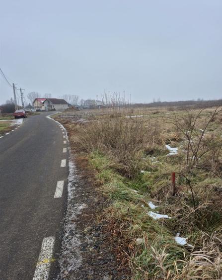 Seini, str. Tineretului, 60 ari teren - 3